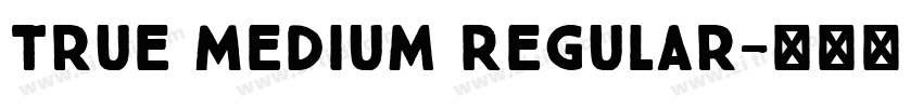 True Medium Regular字体转换
